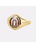 Guld Royal Arch Masonic Ring - Röd med snabb huvud - 9 karat guld