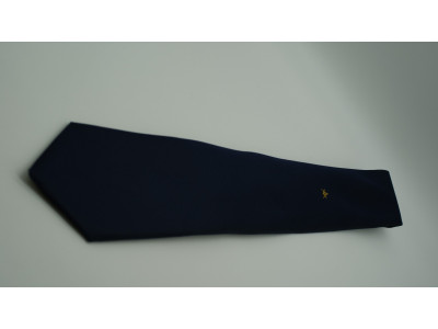 Navy Tie - Gold Square and Compass & G