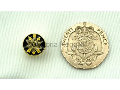 Freemasons Order of the Secret Monitor Masonic Lapel Pin