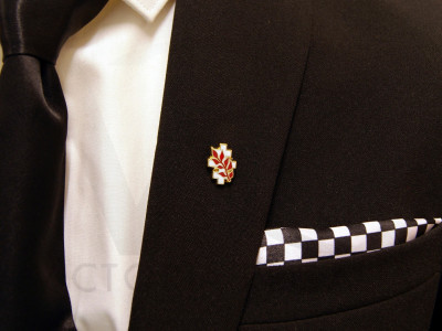 Royal Order of the Red Branch of Eri Masonic Freemasons Lapel Pin